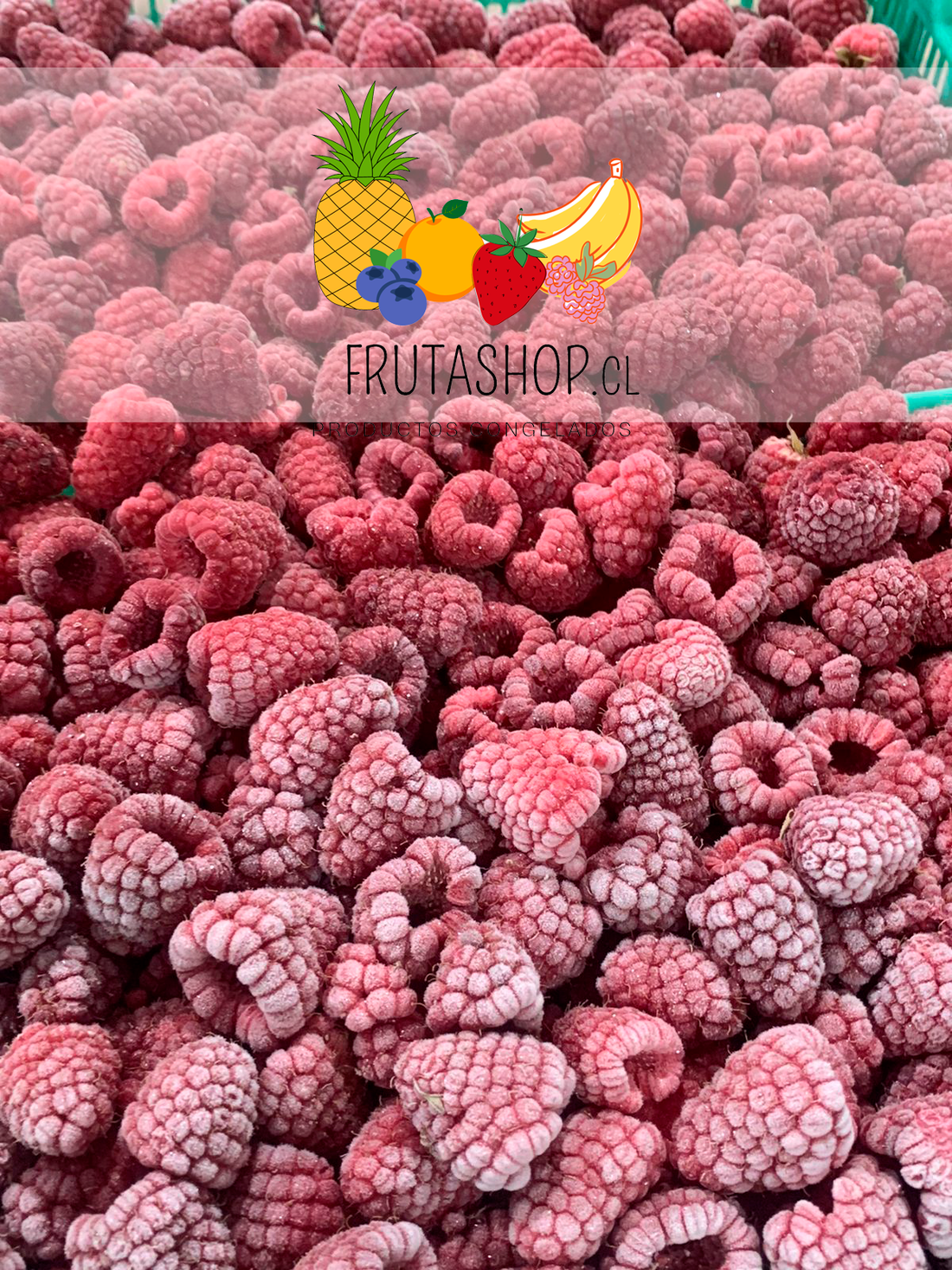Frutashop: Descubre la Frescura de la Fruta Congelada: Calidad y Sabor Todo el Año