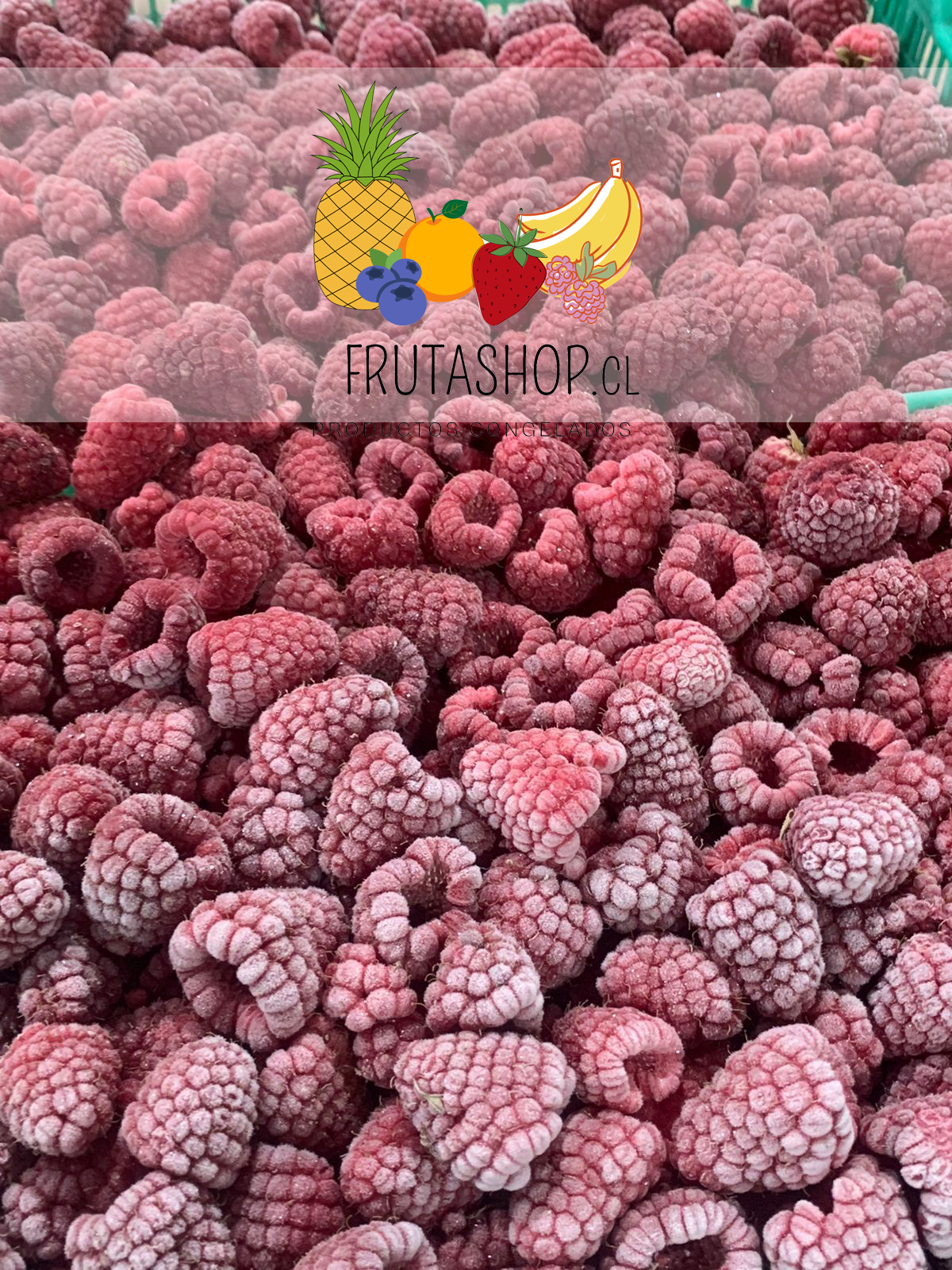 Frutashop: Descubre la Frescura de la Fruta Congelada: Calidad y Sabor Todo el Año