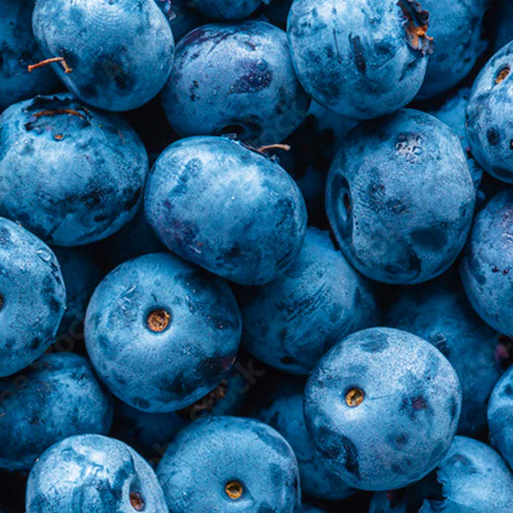 🍇Pulpa Congelada de Arándano - 1 Kg